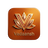 Vedaansh